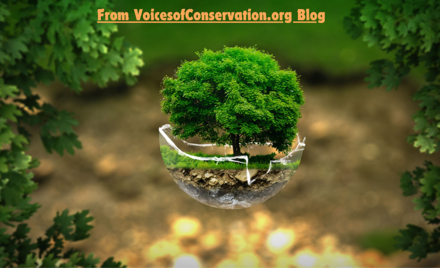 the voicesofconservation.org blog