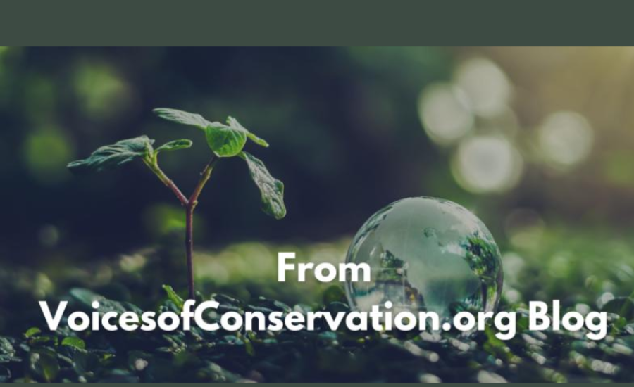 the voicesofconservation.org blog